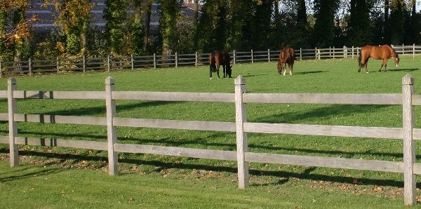 Horse Fencing - Specialist Equestrian Fences